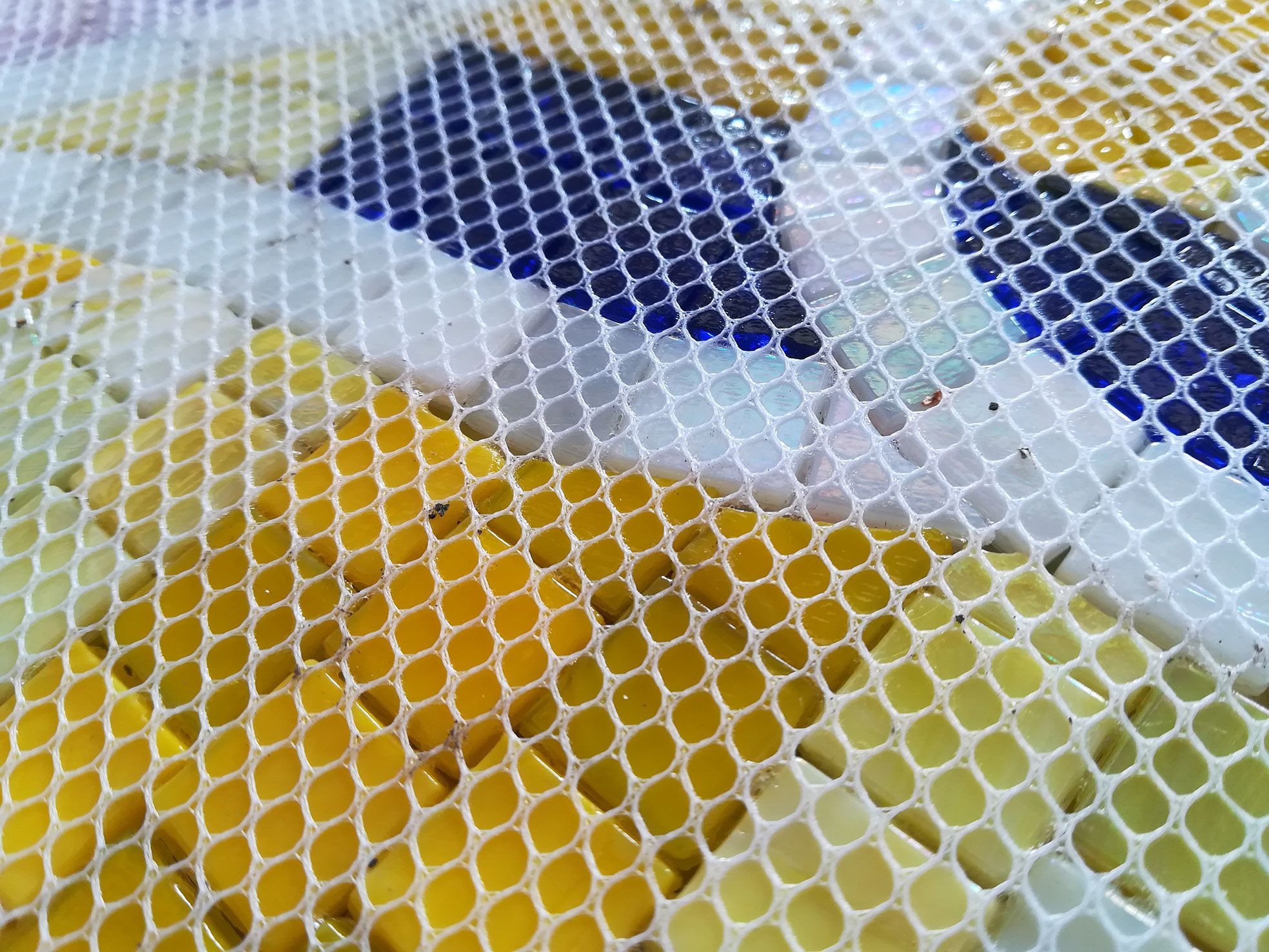 抽象艺术实拍底网图